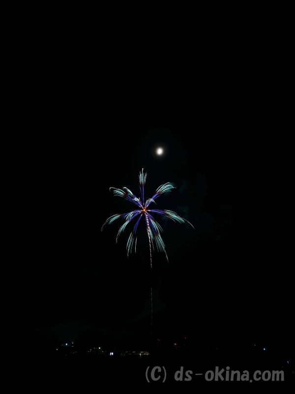 20180819_195513_0.jpg