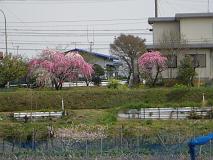 080405_115122_0