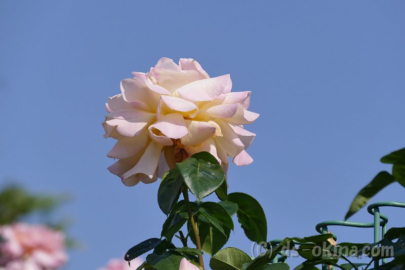 20170518_160059_0.jpg